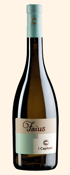 Bottiglia Faius selezione vino bianco
