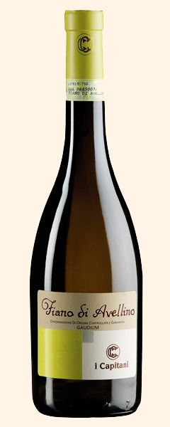 Bottiglia Fiano di Avellino Gaudium DOCG