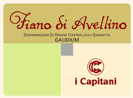 Etichetta Fiano di Avellino Gaudium DOCG